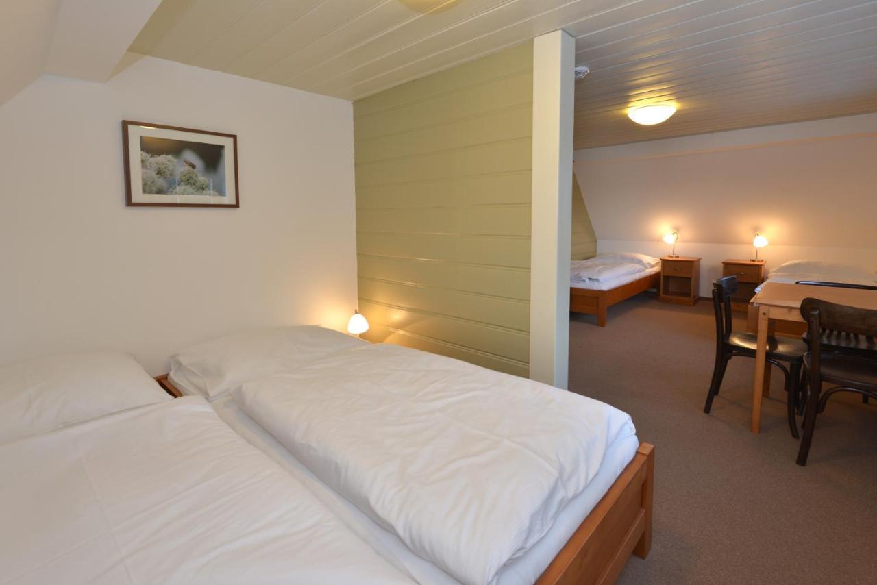 Hotel Prezidentska Bedřichov Pokój zdjęcie