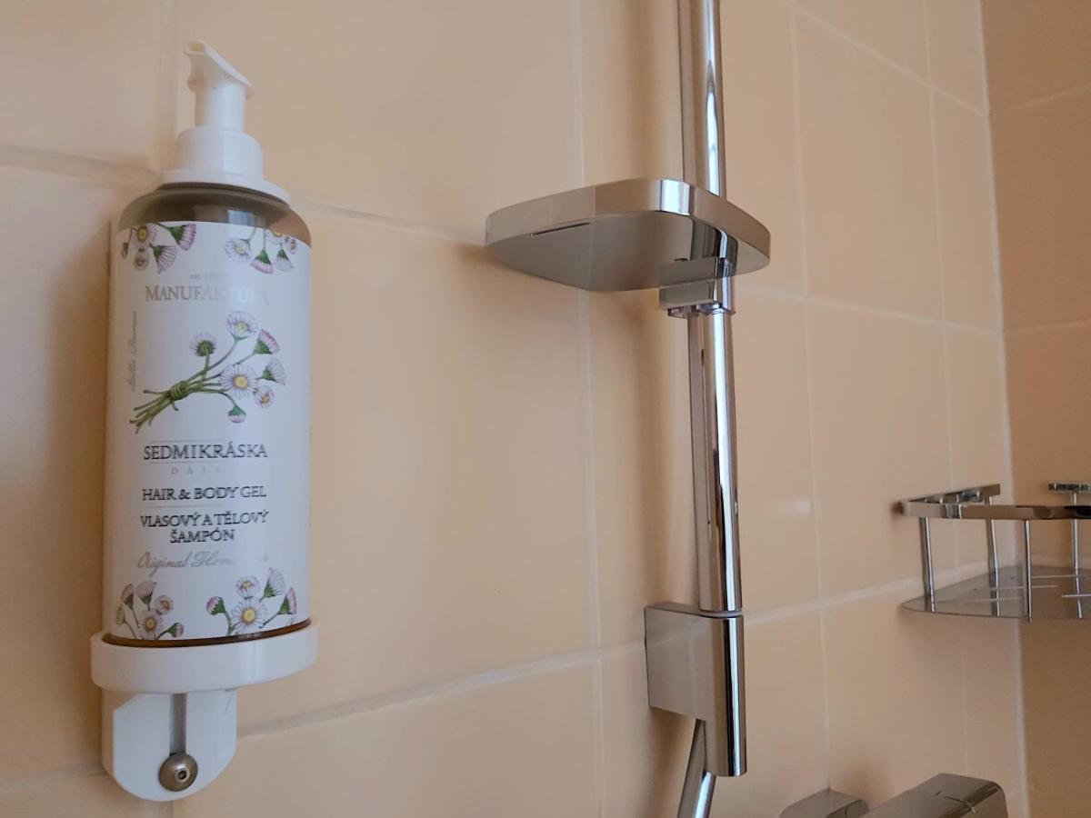 Hotel Prezidentska Bedřichov Zewnętrze zdjęcie